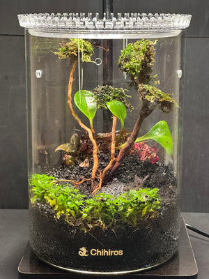 Elysian Garden – Peperomia Green Terrarium (6”W × 8”H, Chihiros Dew L Glass with LED Light & Stand)