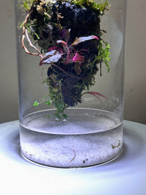 Mystic Mountain – The Floating Lava Edition Small size. 4 inch width and 6 inch height. with Clip on LED light