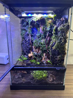 Oasis Raindrop Paludarium (8”W × 11.5”H, with Inbuilt Rain System & LED Light)