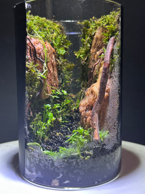 Mystic Mountain – Secret Valley Edition Small size. 4 inch width and 6 inch height. with Clip on LED light