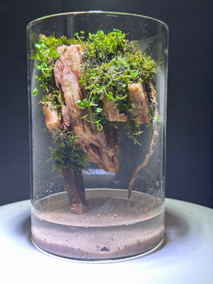Mystic Mountain – Earth Root Edition Small size. 4 inch width and 6 inch height. with Clip on LED light