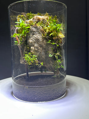 Mystic Mountain – White Mountain Edition Small size. 4 inch width and 6 inch height with Clip on LED light