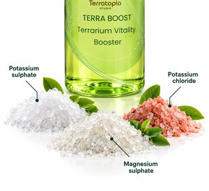 Terra Boost – Terrarium Vitality Booster | 100 ml pack of 2
