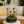 Ethereal Orchids – Masdevallia & Jewel Orchid Terrarium (6”W × 8”H, Chihiros Dew L Glass) with LED Light & Stand