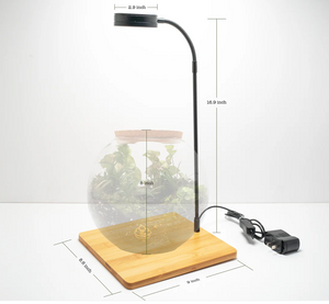 Ethereal Orchids – Masdevallia & Jewel Orchid Terrarium (6”W × 8”H, Chihiros Dew L Glass) with LED Light & Stand
