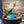 Seaside Serenity Succulent Bowl (9×4