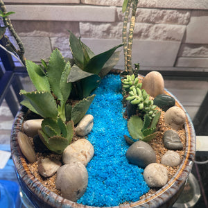 Seaside Serenity Succulent Bowl (9×4")