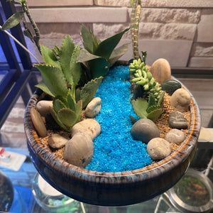 Seaside Serenity Succulent Bowl (9×4")