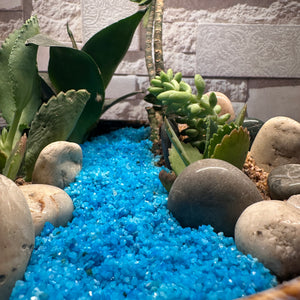 Seaside Serenity Succulent Bowl (9×4")