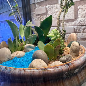 Seaside Serenity Succulent Bowl (9×4")