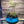Ocean Breeze Mini Succulent Garden (6×4