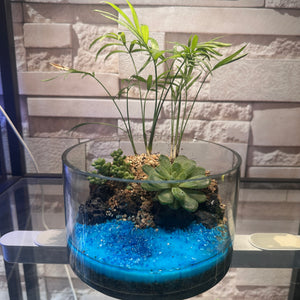 Ocean Breeze Mini Succulent Garden (6×4")