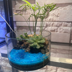 Ocean Breeze Mini Succulent Garden (6×4")
