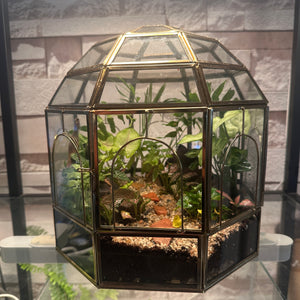Forest Floor Dome Terrarium (10×10")