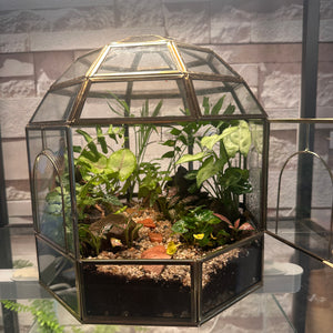 Forest Floor Dome Terrarium (10×10")
