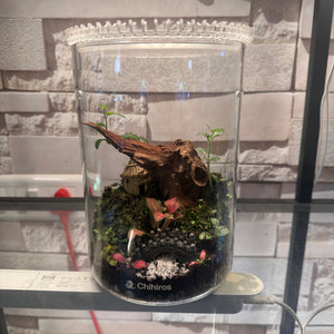 Chihiros Garden Terrarium (6×8")