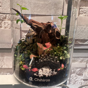 Chihiros Garden Terrarium (6×8")