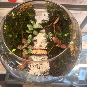 Hidden Valley Glass Terrarium (8")