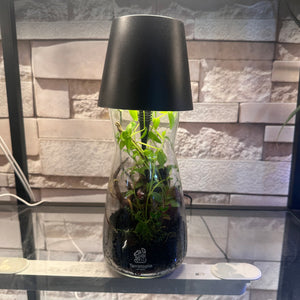 TouchGlow Garden Terrarium (4×11")