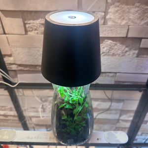 TouchGlow Garden Terrarium (4×11")