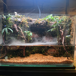 Beachscape Paludarium with Waterfall and mist (12×7×8")
