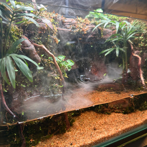 Beachscape Paludarium with Waterfall and mist (12×7×8")