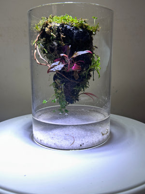 Mystic Mountain – The Floating Lava Edition Small size. 4 inch width and 6 inch height. with Clip on LED light