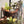 Whispering Woods -Forest Gateway Small 4”W × 6”H- Bio Active Terrarium. with Clip on LED light