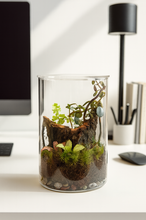 Whispering Woods -Forest Gateway Small 4”W × 6”H- Bio Active Terrarium. with Clip on LED light