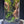 Mystic Mountain – Secret Valley Edition Small size. 4 inch width and 6 inch height. with Clip on LED light