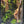Mystic Mountain – Secret Valley Edition Small size. 4 inch width and 6 inch height. with Clip on LED light