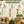 Terratopia Terrarium Workshop 4th July 2026