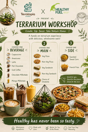 Terratopia Terrarium Workshop 4th July 2026