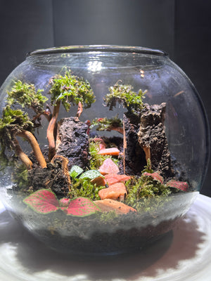Whispering Woods – A Living Forest in Glass small bowl 4”W × 5”H with Clip on LED light