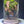 Mystic Mountain – Earth Root Edition Small size. 4 inch width and 6 inch height. with Clip on LED light