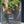 Mystic Mountain – Earth Root Edition Small size. 4 inch width and 6 inch height. with Clip on LED light