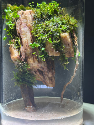 Mystic Mountain – Earth Root Edition Small size. 4 inch width and 6 inch height. with Clip on LED light