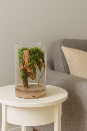 Mystic Mountain – Earth Root Edition Small size. 4 inch width and 6 inch height. with Clip on LED light