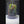 Mystic Mountain – Grey Stone Edition Small size. 4 inch width and 6 inch height