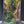 Mystic Mountain – Secret Valley Edition Small size. 4 inch width and 6 inch height. with Clip on LED light