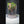 Mystic Mountain – Earth Root Edition Small size. 4 inch width and 6 inch height. with Clip on LED light