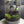 Elysian Garden – Peperomia Green Terrarium (6”W × 8”H, Chihiros Dew L Glass with LED Light & Stand)