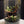 Whispering Woods -Forest Gateway Small 4”W × 6”H- Bio Active Terrarium. with Clip on LED light
