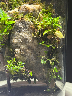 Mystic Mountain – White Mountain Edition Small size. 4 inch width and 6 inch height with Clip on LED light